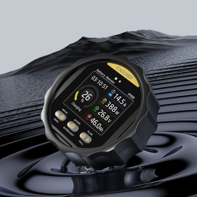 Buon prezzo TR24 Sistema di monitoraggio batteria marina impermeabile con schermo a colori 8-100V 0-500A in linea